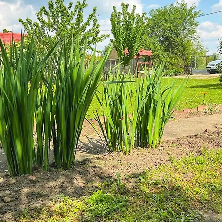 Moja Vojvodjanka Gornja Rogatica