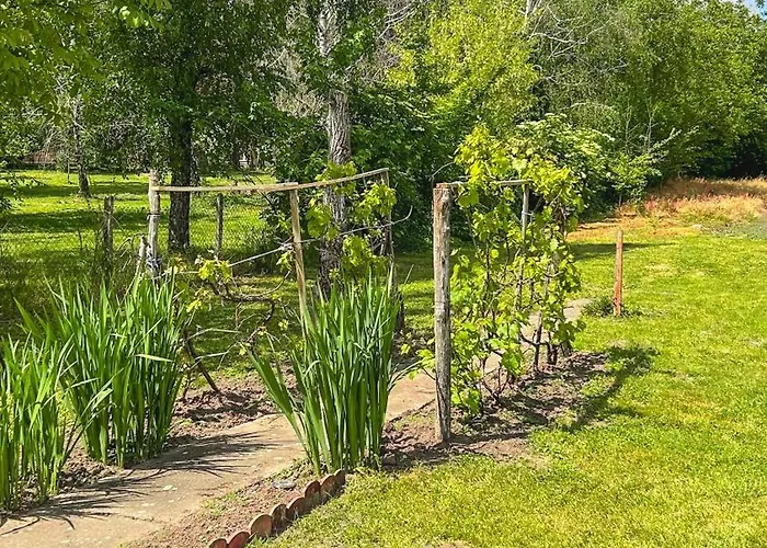 Moja Vojvodjanka דירה